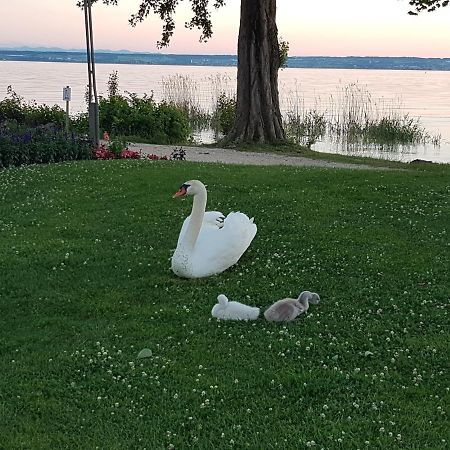 Malvelyns Am Bodensee 博登斯边的伊门施塔特 外观 照片