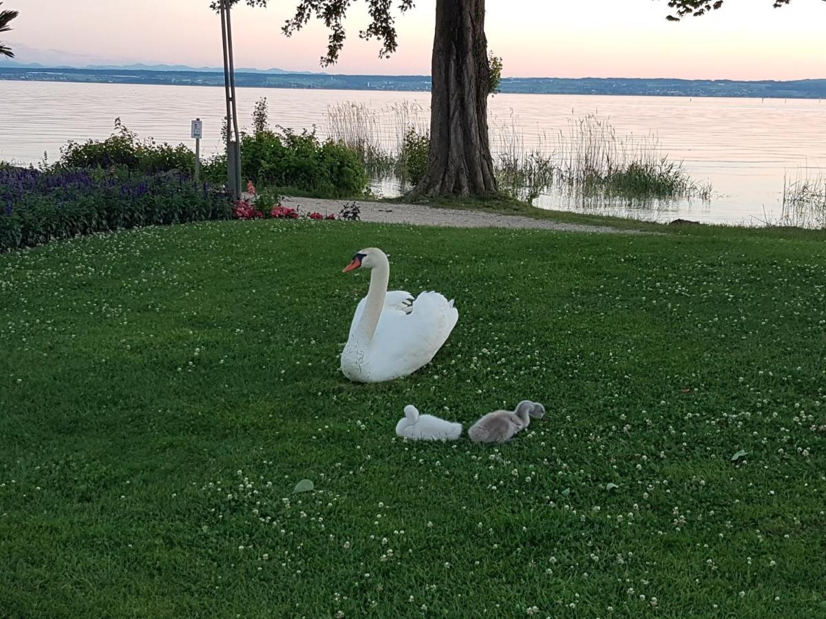 Malvelyns Am Bodensee 博登斯边的伊门施塔特 外观 照片